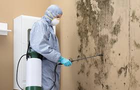 Reliable Olympia Heights, FL Mold Inspection Solutions